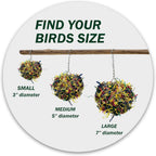 Sweet Feet and Beak 3-inch bird toy with wooden treasures
