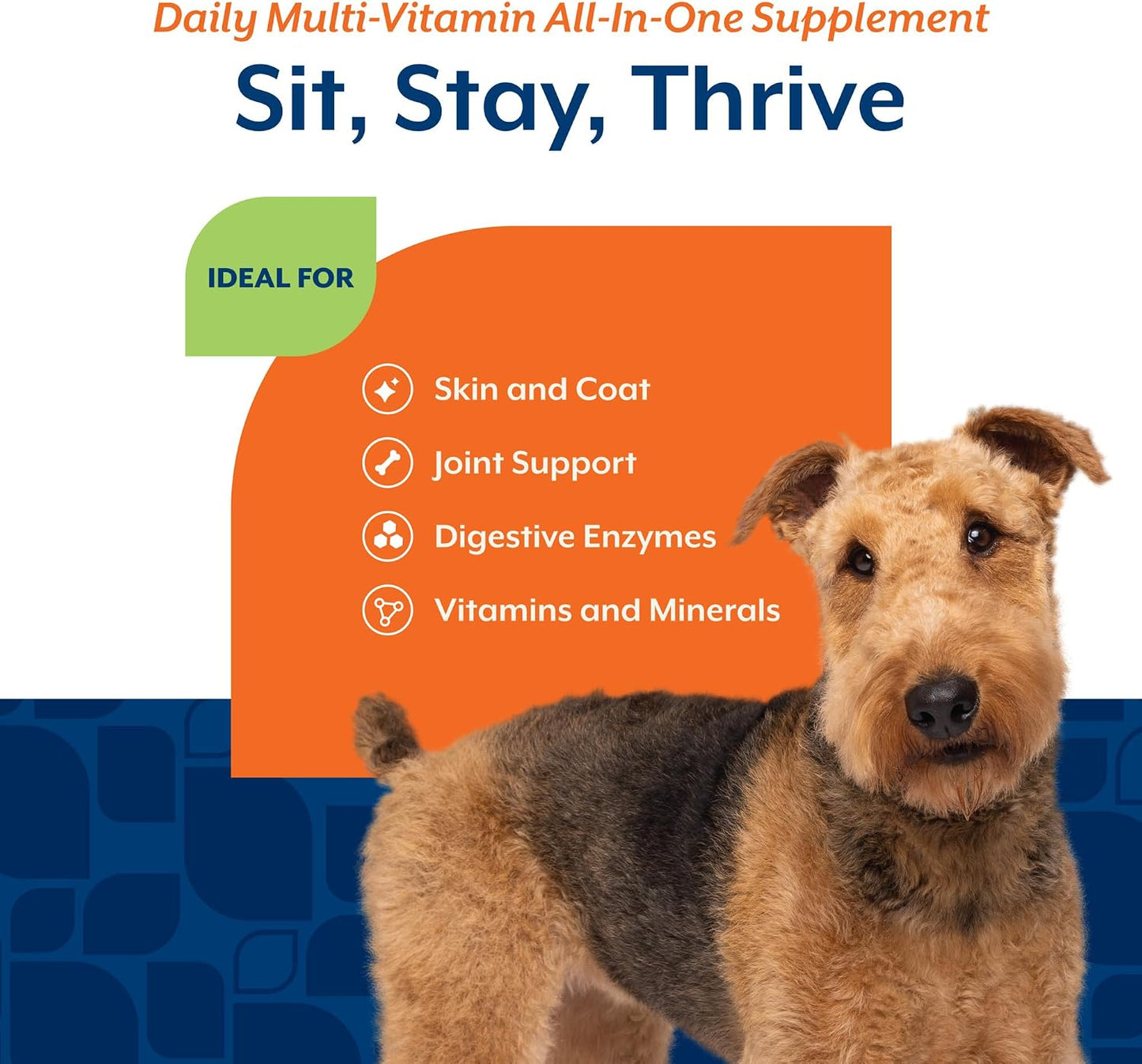 Dog eating NaturVet All-In-One bacon and chicken soft chew