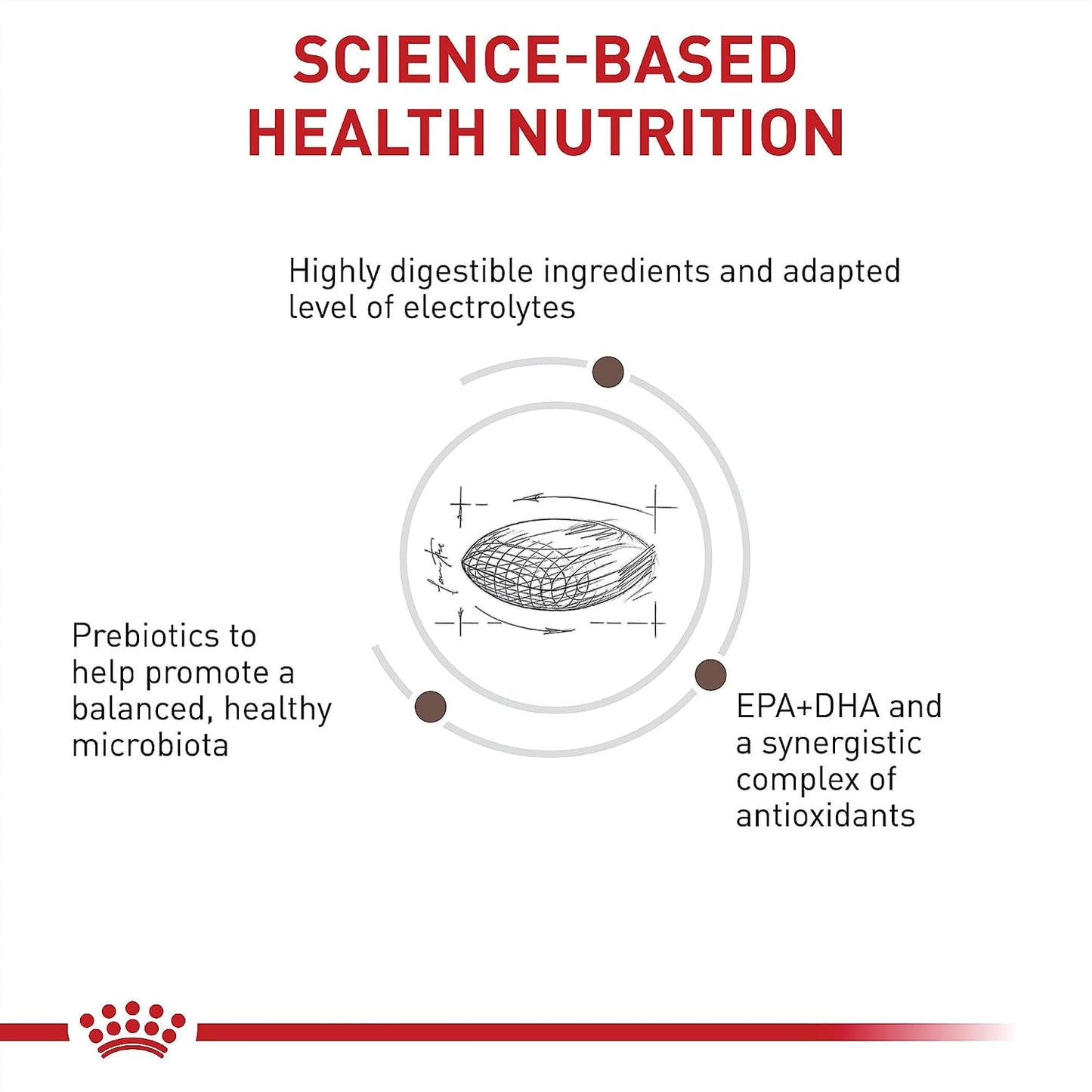 Imported Royal Canin gastrointestinal dry kibble for adult dogs with pancreatitis.