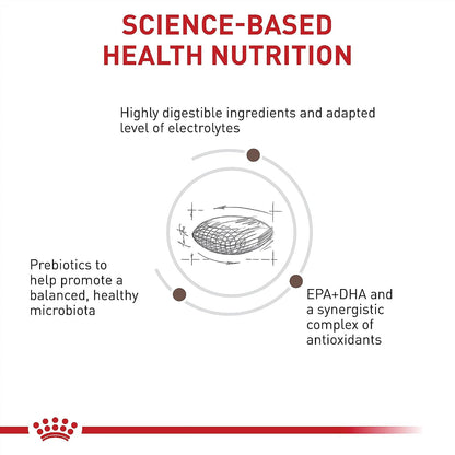 Imported Royal Canin gastrointestinal dry kibble for adult dogs with pancreatitis.