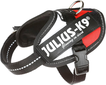 Julius-K9 IDC Powerharness, Size: 2XL/3, Dark Purple - Image 13