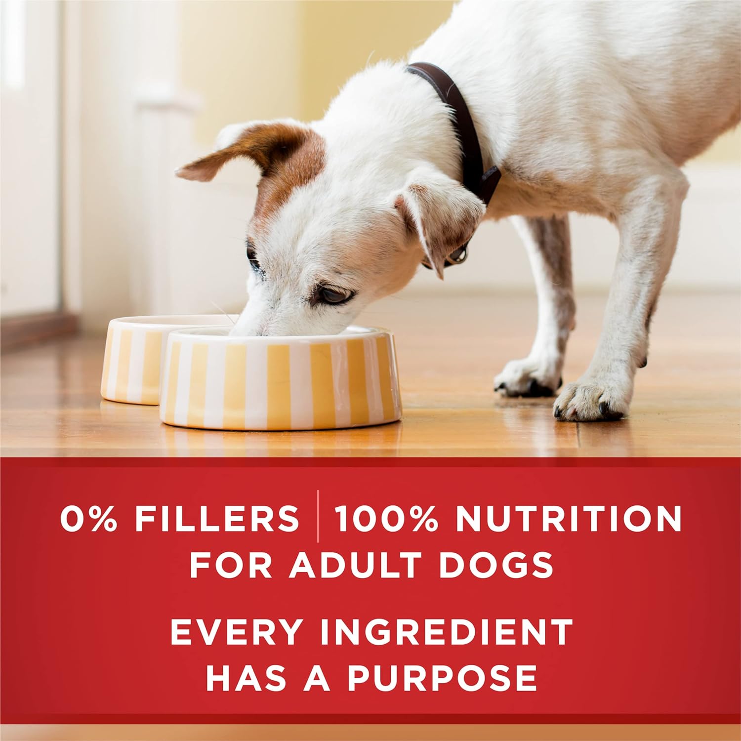 Purina ONE Classic Ground Chicken and Brown Rice, and Beef and Brown Rice Entrees Wet Dog Food Variety Pack - (Pack of 6) 13 oz. Cans - Image 9
