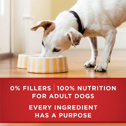 Purina ONE Classic Ground Chicken and Brown Rice, and Beef and Brown Rice Entrees Wet Dog Food Variety Pack - (Pack of 6) 13 oz. Cans - Image 9