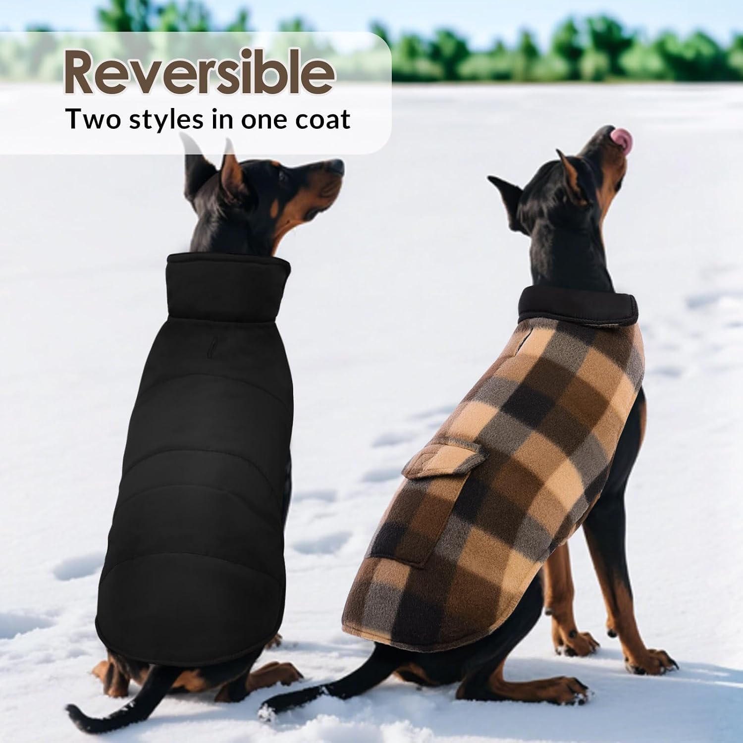 ASENKU large breed pet coat back view highlighting the built in functional treat pocket.