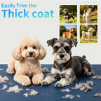 Dlinsion dog shaver set in retail packaging