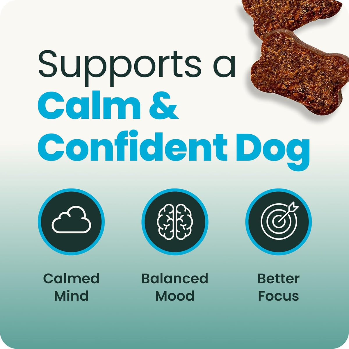 VetriScience Composure anxiety relief chews for dogs close up of product form
