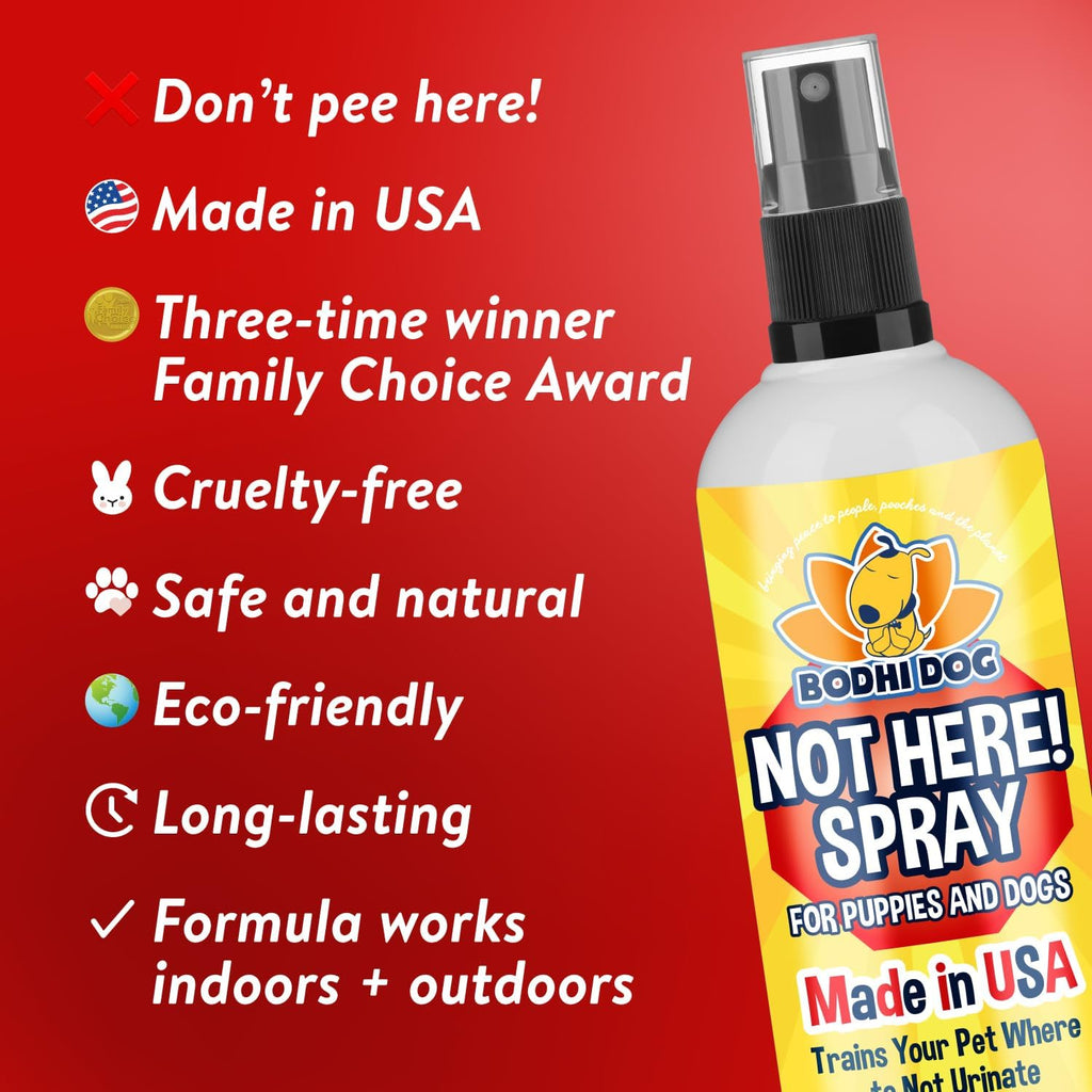 Pet owner applying Bodhi Dog training spray on carpet