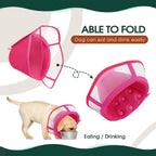 Kuoser medical pet collar showing snap button fasteners for quick wear