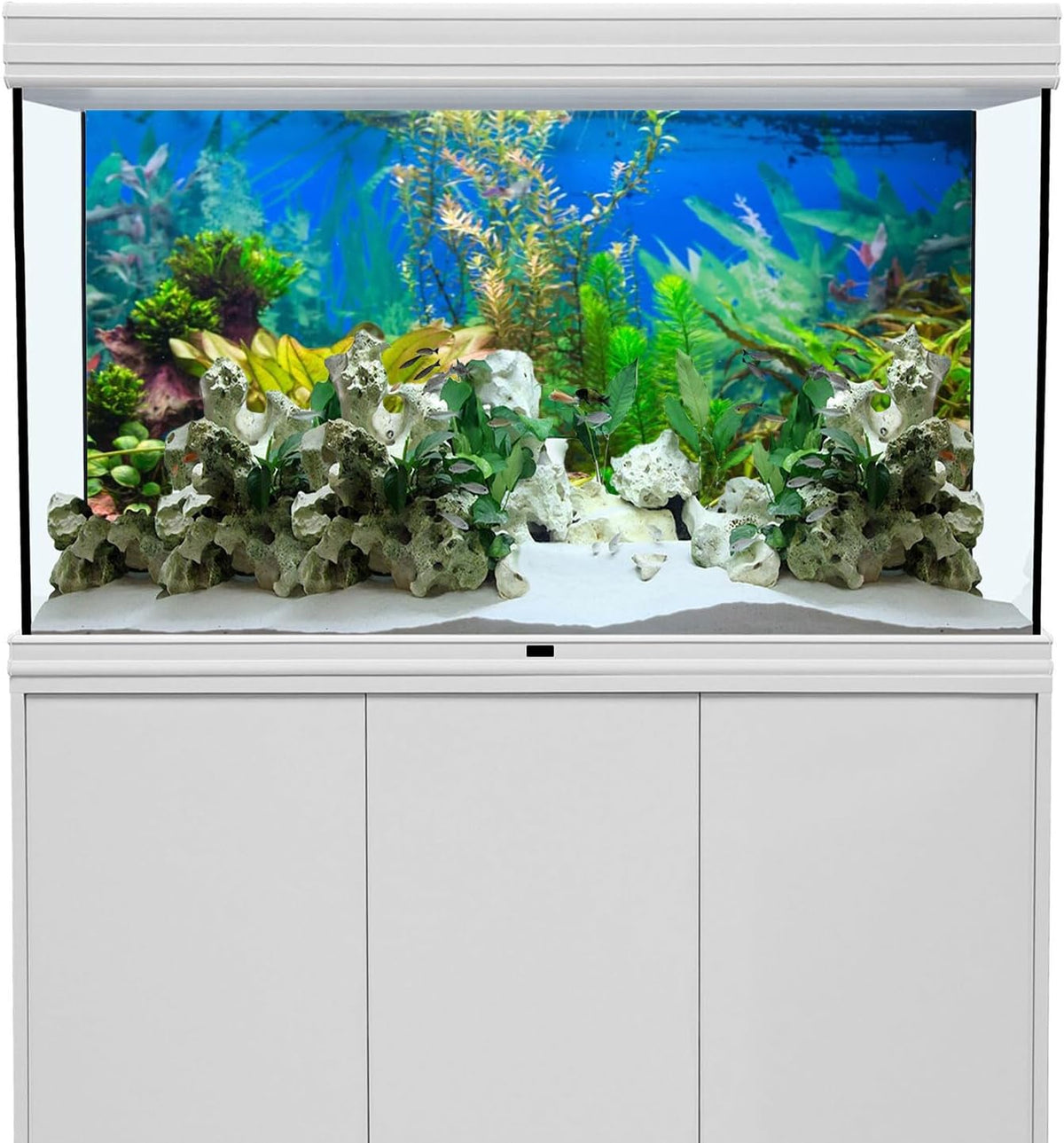 Awert aquarium background front view showing aquatic plant river bed design