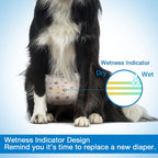 Pet Soft male puppy diapers showing the adjustable fur safe fastener tapes