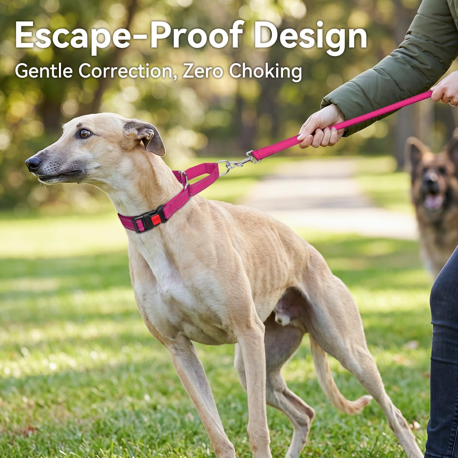 Joytale no slip soft nylon dog collar showing dual strip reflective stitching detail