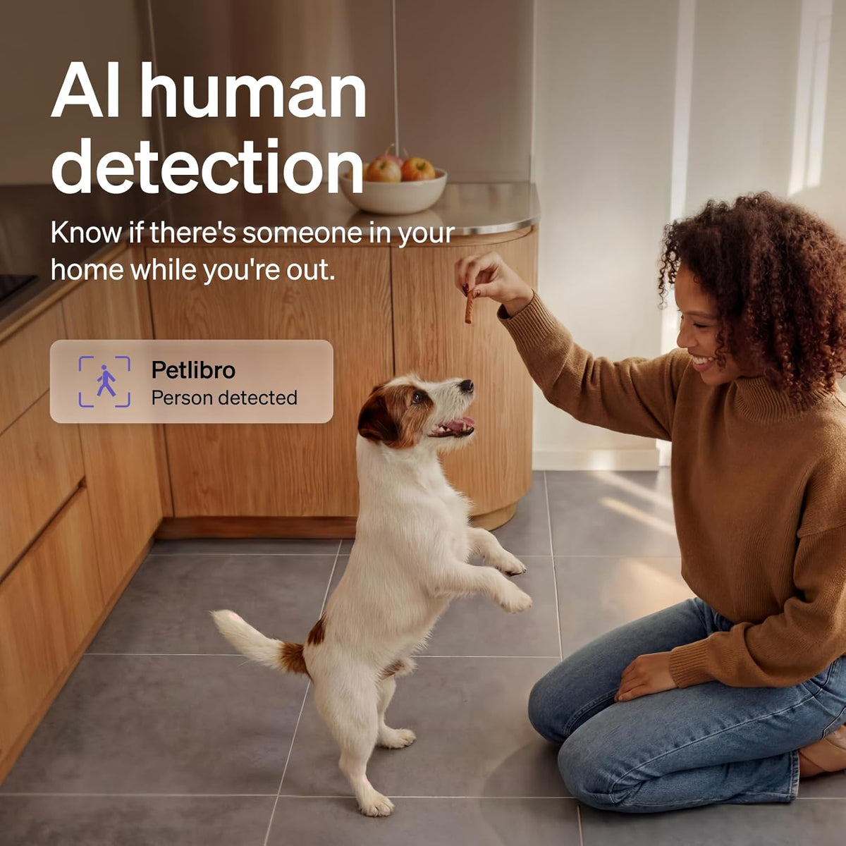 Petlibro smart pet camera displaying AI pet recognition feature