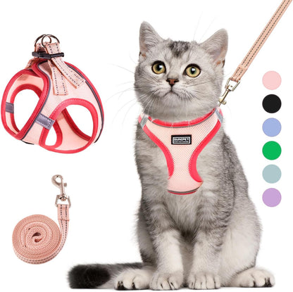 Rishav Pet Care adjustable cat harness chest measurement view