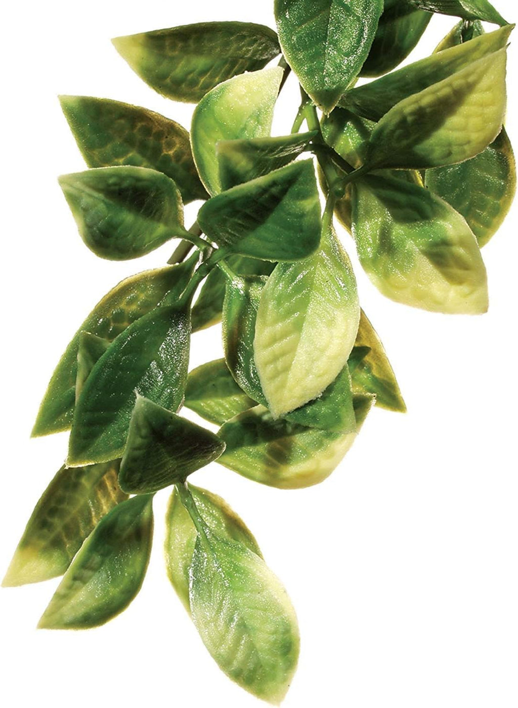 Exo Terra Mandarin plant side profile