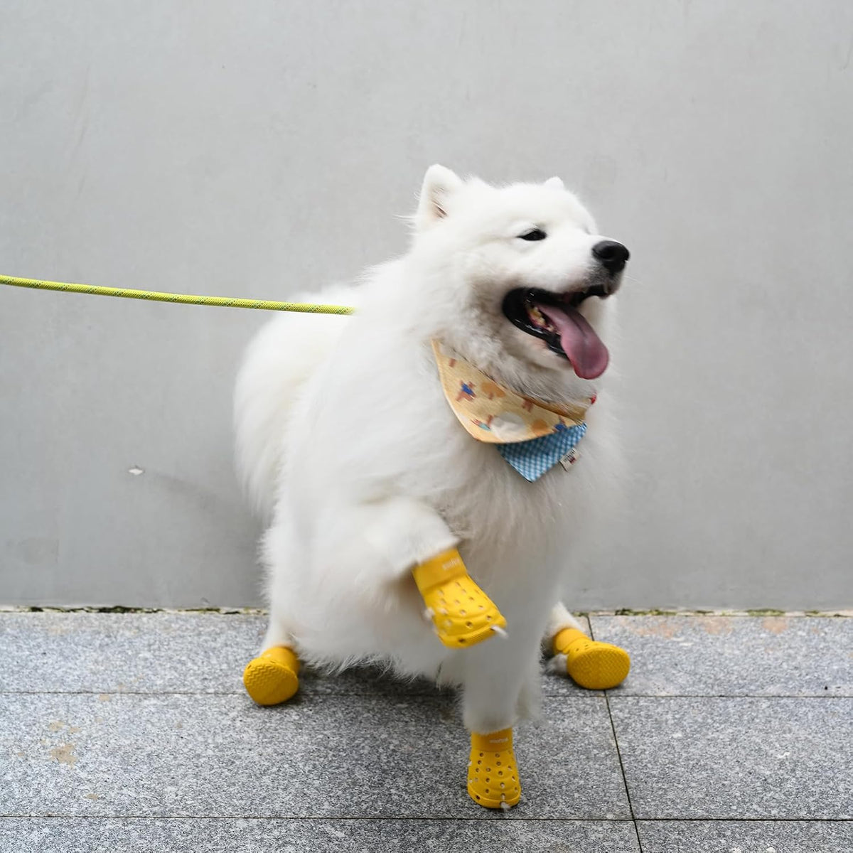 Pink dog booties for small dogs outdoor walking