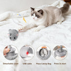 The complete packaging contents including the grey MigiMouse, USB cable, and catnip accessory.