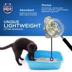 Cat's Pride 10 pound pet litter jug handle perspective