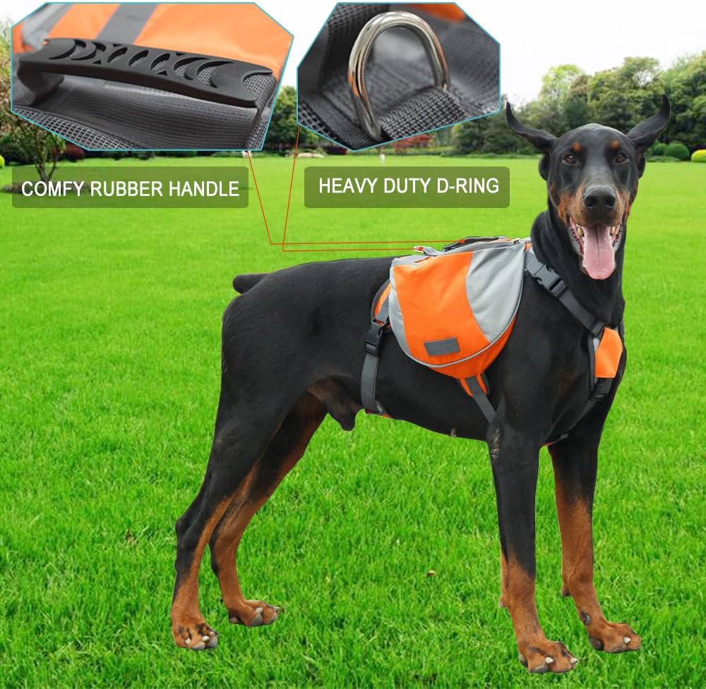 Lifeunion training dog harness with metal leash attachment D ring closeup