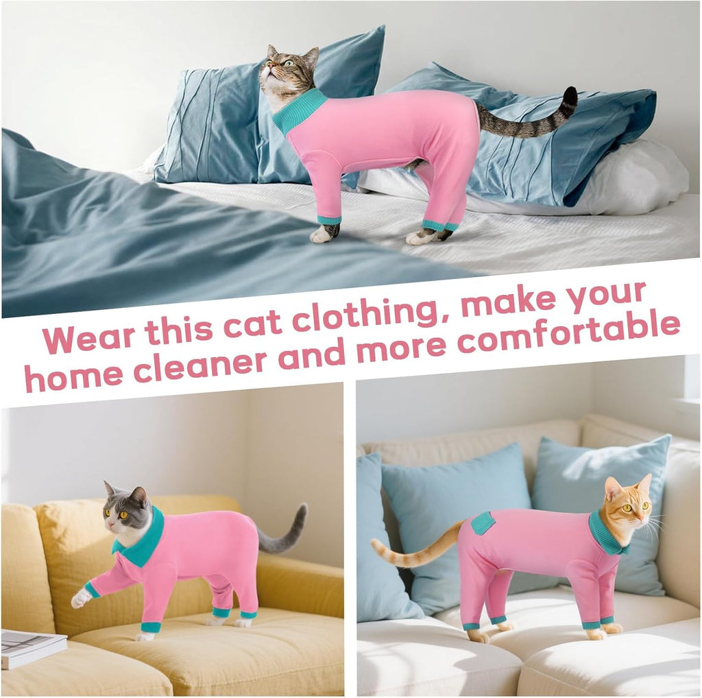 Cat in T'CHAQUE anti-licking shirt for skin issues