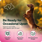 Professional vet recommended digestive paste for pets
