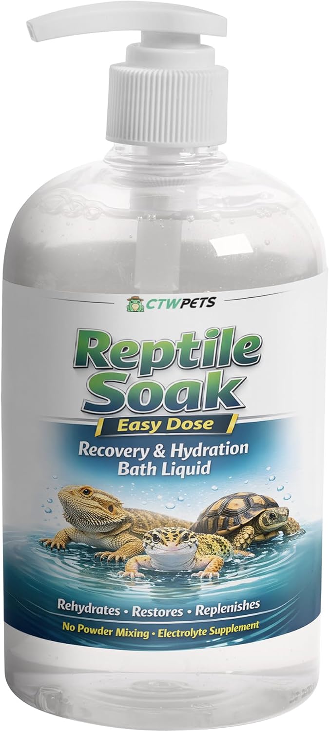 Tortoise hydrating in warm bath water with essential electrolytes