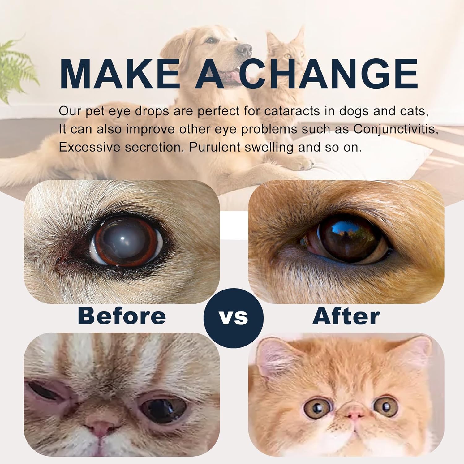 Close up view of the product label detailing usage directions for pet eye irritation.