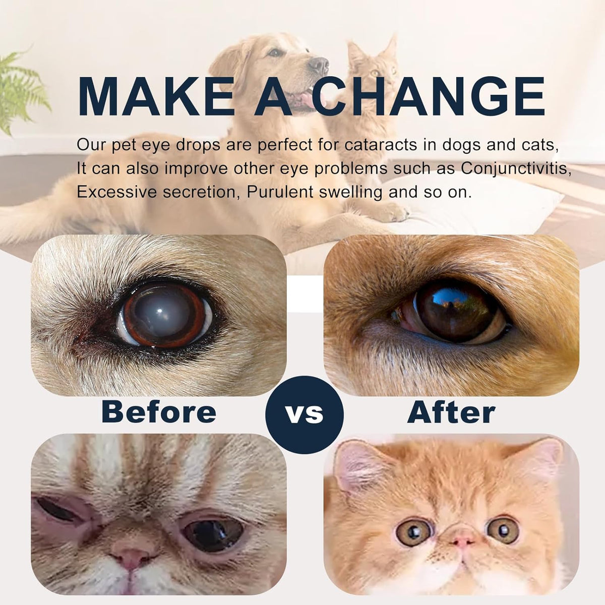 Close up view of the product label detailing usage directions for pet eye irritation.