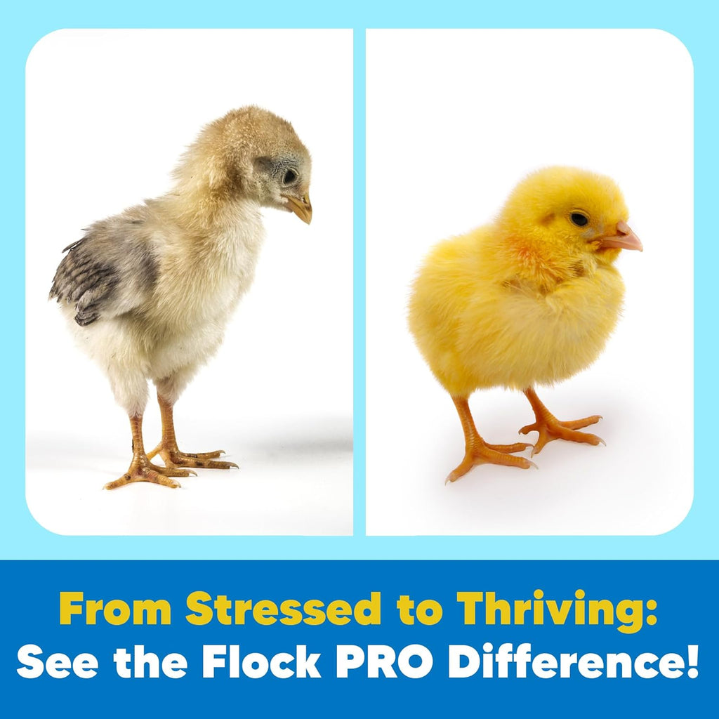Equerry's Flock Pro Chick Boost nutritional benefits chart