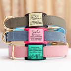 Noise-free colorful pet collar nameplate in pink and blue options close up