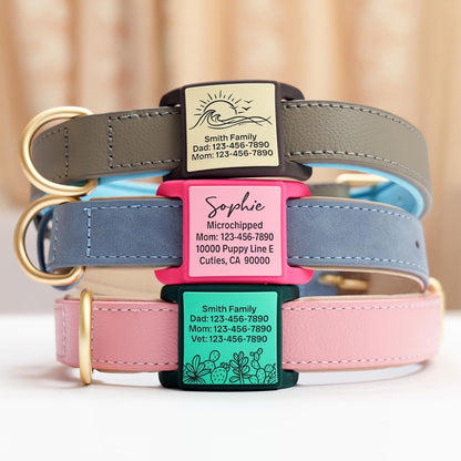 Noise-free colorful pet collar nameplate in pink and blue options close up