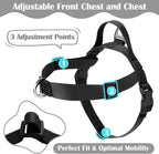 Annchwool heavy duty dog harness with chest adjustment straps