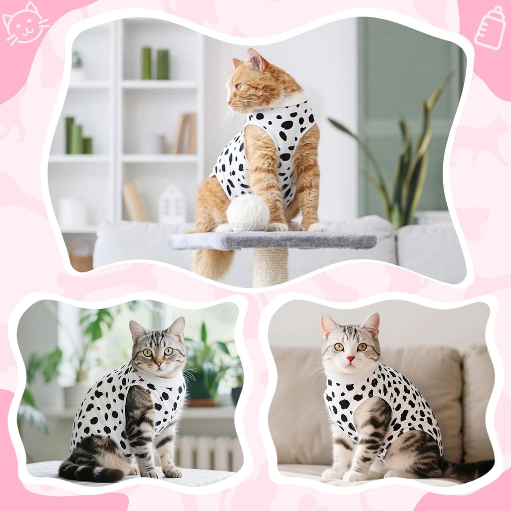 Cute cat wearing leopard pattern surgical suit