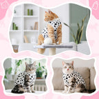 Cute cat wearing leopard pattern surgical suit