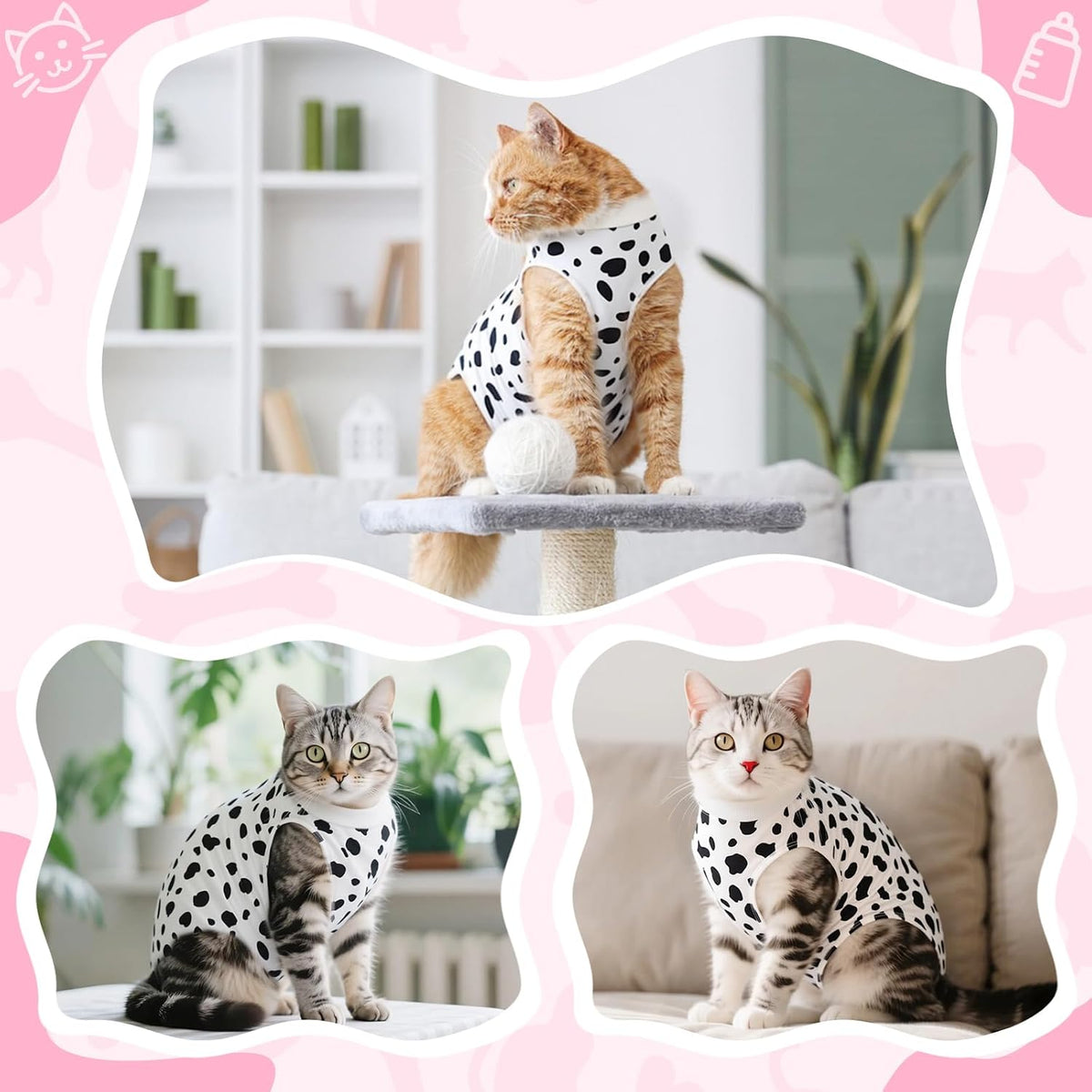Cute cat wearing leopard pattern surgical suit