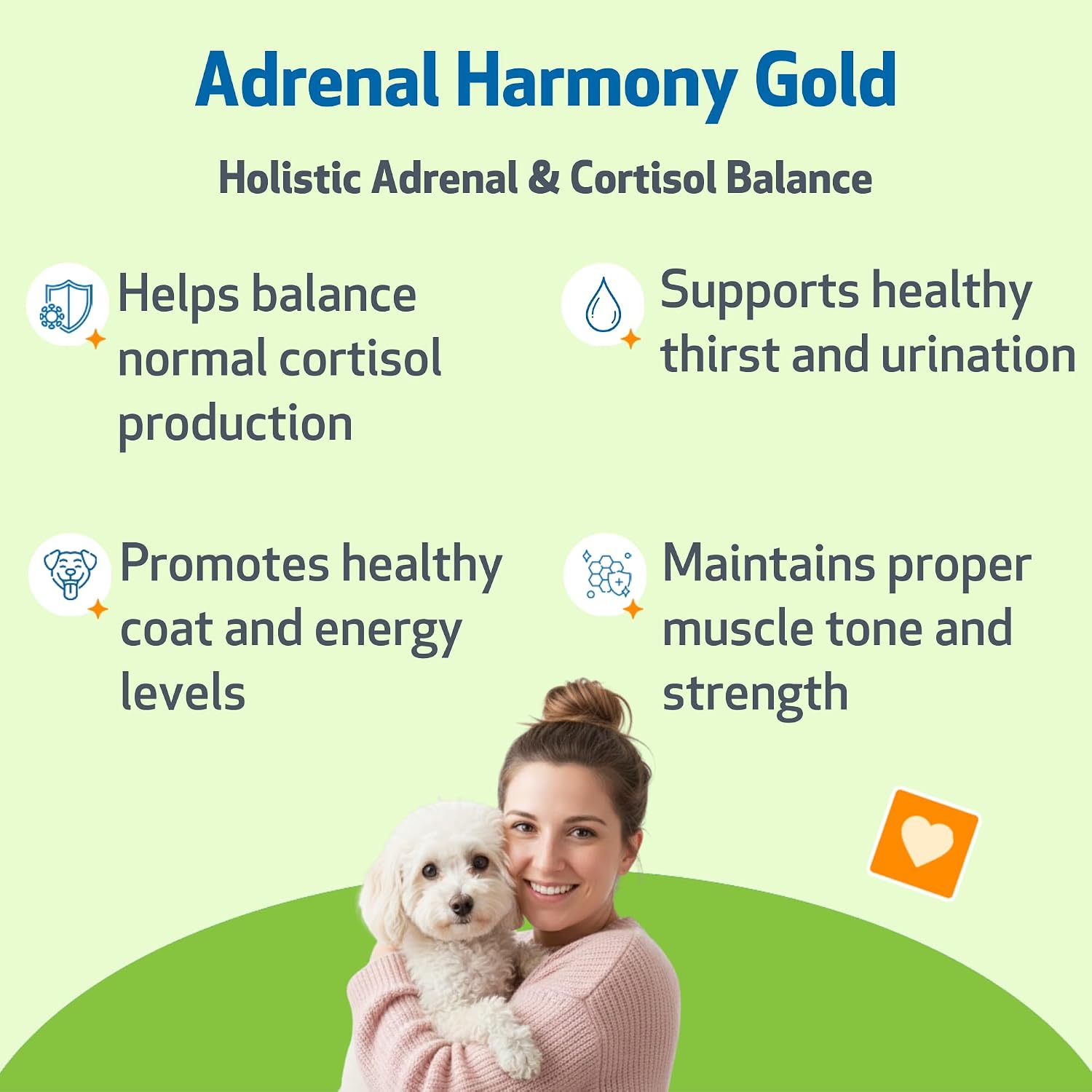 USA imported Pet Wellbeing dog adrenal supplement liquid dropper bottle.