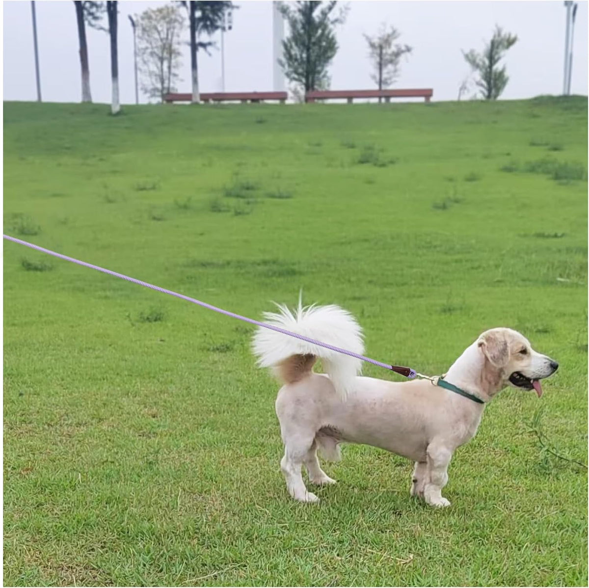 MayPaw nylon rope leash stainless steel clip