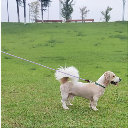 MayPaw nylon rope leash stainless steel clip