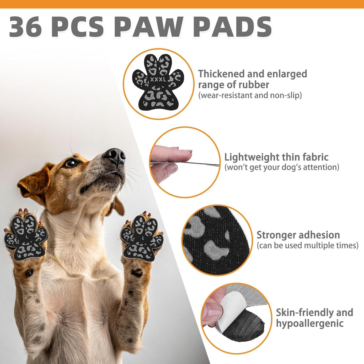 Senior dog walking on hardwood floor wearing Kooltail traction pads