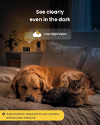 Furbo Mini Pet Camera [Subscription Required] Unlock Camera w/Paid Plan: Home Security with Dog & Cat Safety Alerts, 2-Way Audio, Mountable Smart Cam (Low Risk, 3mo Min. Cancel Anytime) - Image 9