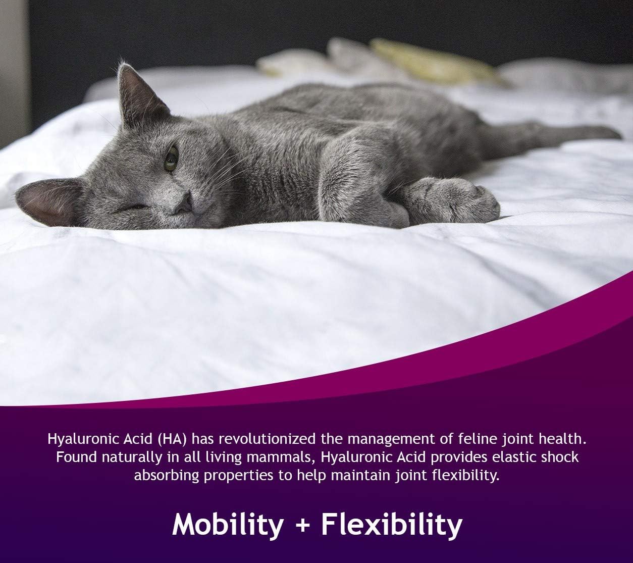 Authentic Hyalogic HyaFlex for cats USA import bottle