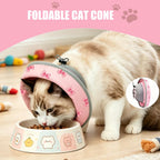 Side view of small cat wearing comfortable anti licking recovery cone