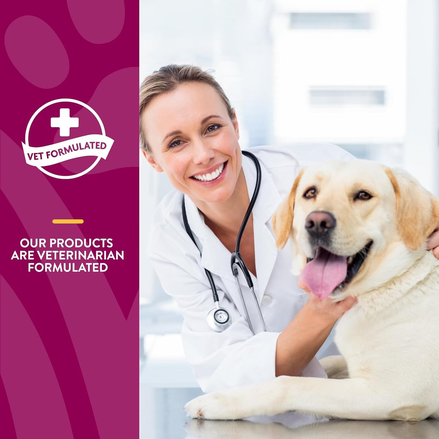 NaturVet Level Two veterinarian formulated hip and joint supplement for senior dogs