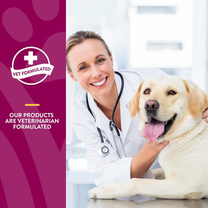 NaturVet Level Two veterinarian formulated hip and joint supplement for senior dogs