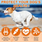 Alivo turmeric curcumin for dogs supplement facts and daily feeding directions label