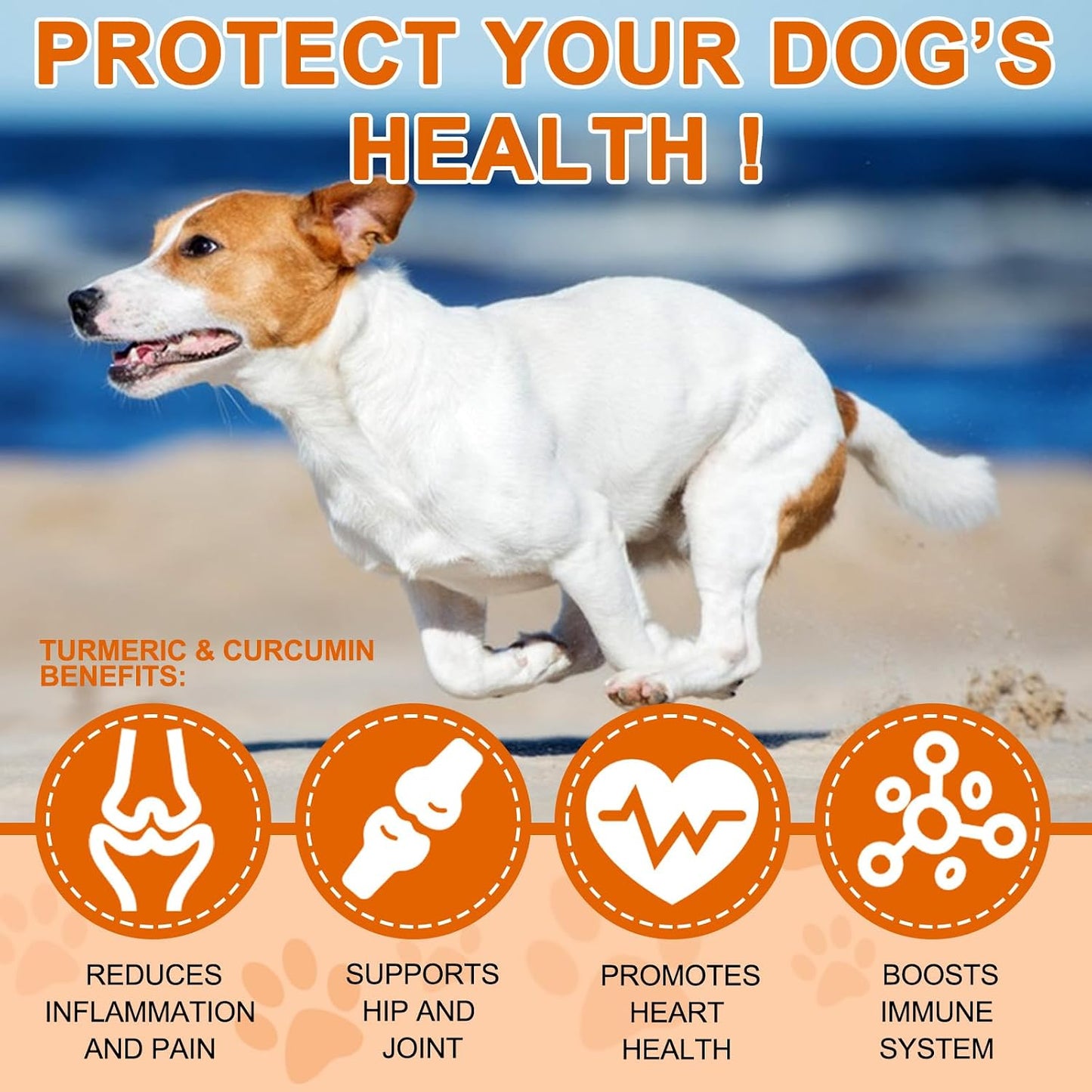 Alivo turmeric curcumin for dogs supplement facts and daily feeding directions label