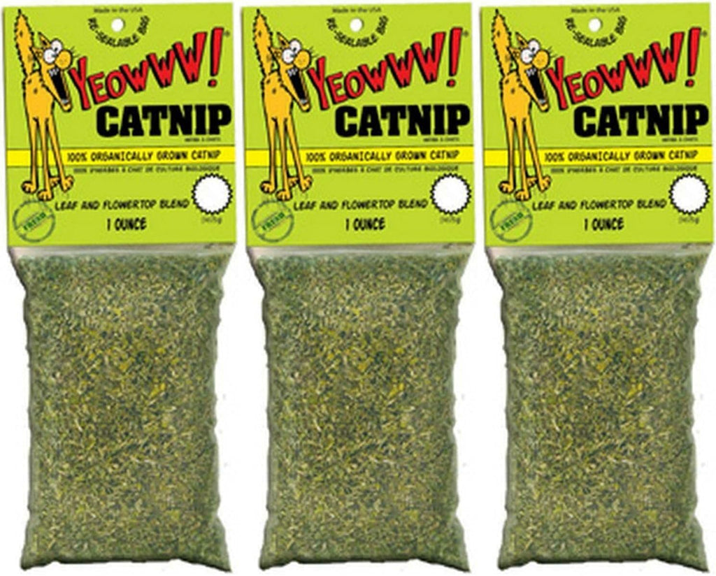 Yeowww organic catnip multi pack arrangement for cats
