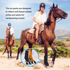 Two reusable gel inserts alongside the soft blue horse ice wrap