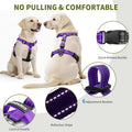Kazazoo reflective Y-shaped harness for large dogs