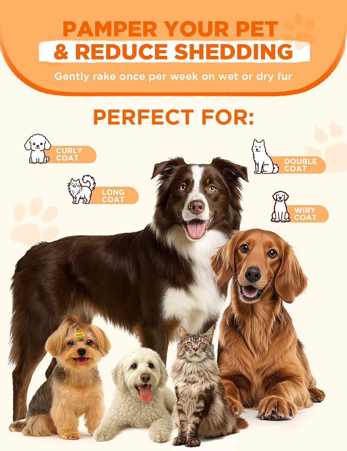 FeelNeedy premium pet undercoat rake packaging and included accessories for USA imported beauty care.