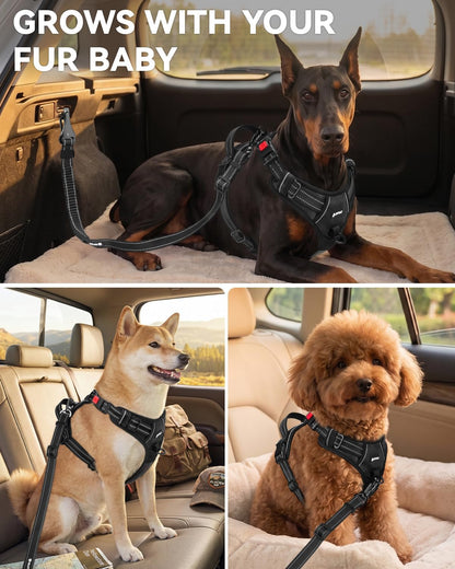 Joytale dog seat belt LATCH anchor hook feature